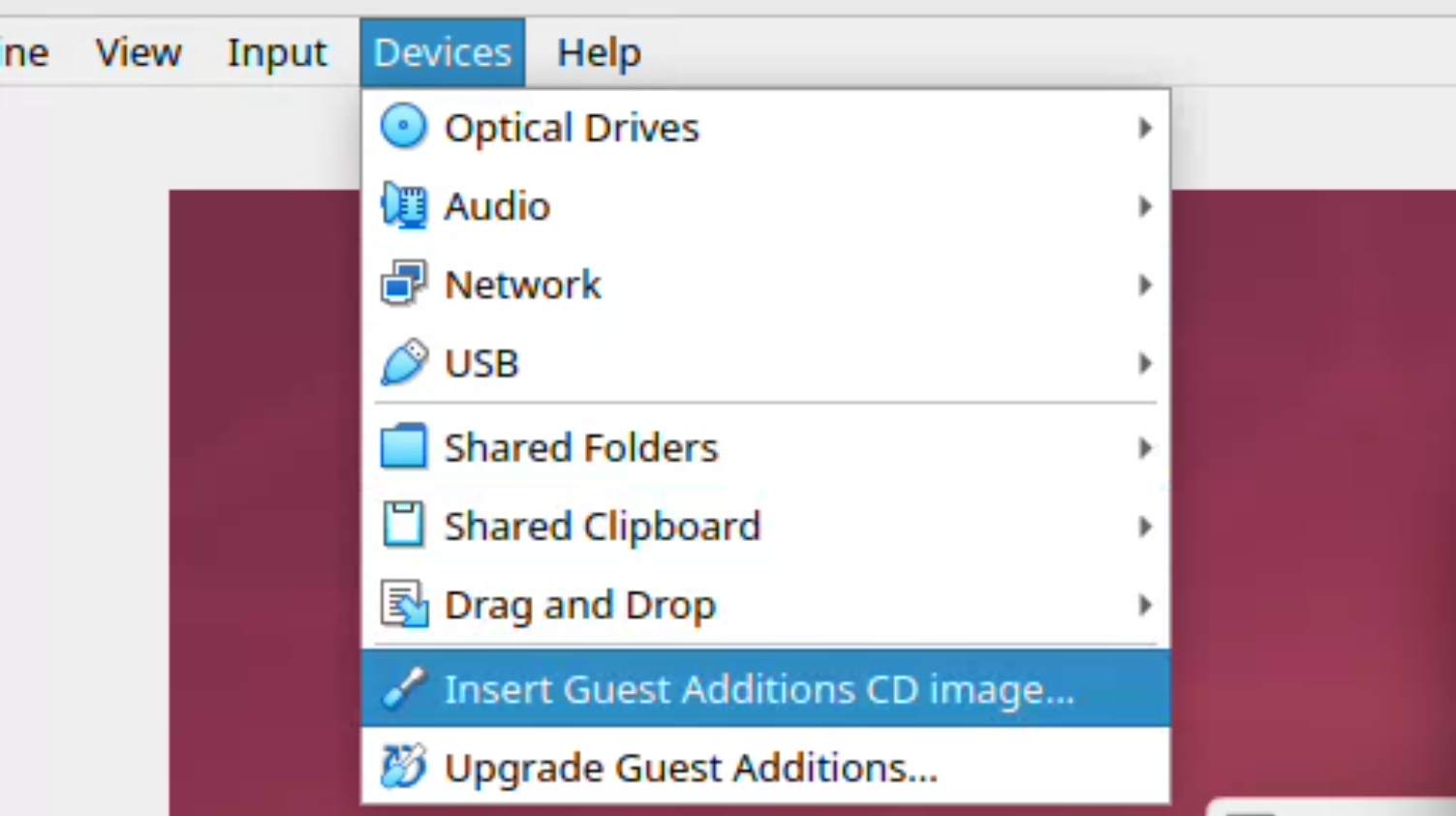 Insert Guest Additions CD Image screenshot