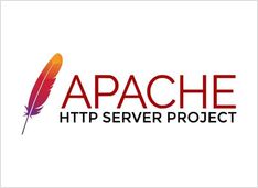 Gitea SSL with Apache as reverse proxy