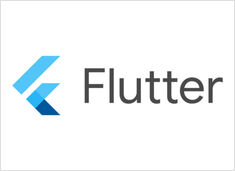 Install Flutter dev environment