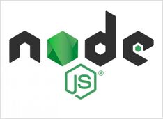 Install Node.js dev environment
