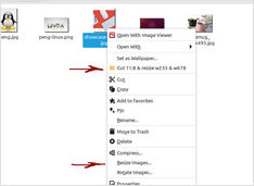 Linux Mint Cinnamon Context Menu
