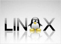 Reinstall Linux